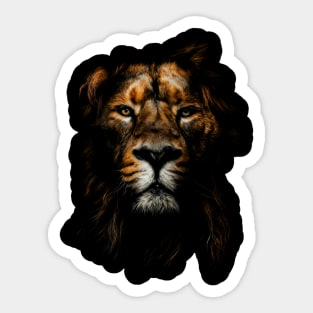 Regal Reign: Lion's Dominance Displayed on This Striking Shirt Sticker